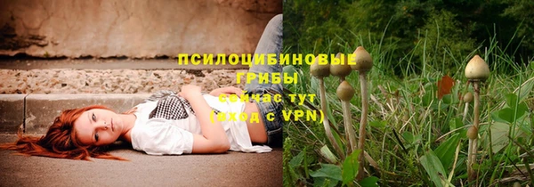 mdpv Приозерск