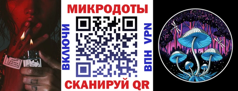 ОМГ ОМГ зеркало  Кимовск  Галлюциногенные грибы Psilocybine cubensis 