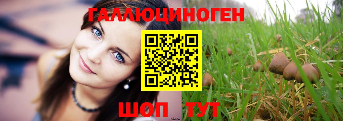 Кимовск  Галлюциногенные грибы Magic Shrooms  Вход с VPN 