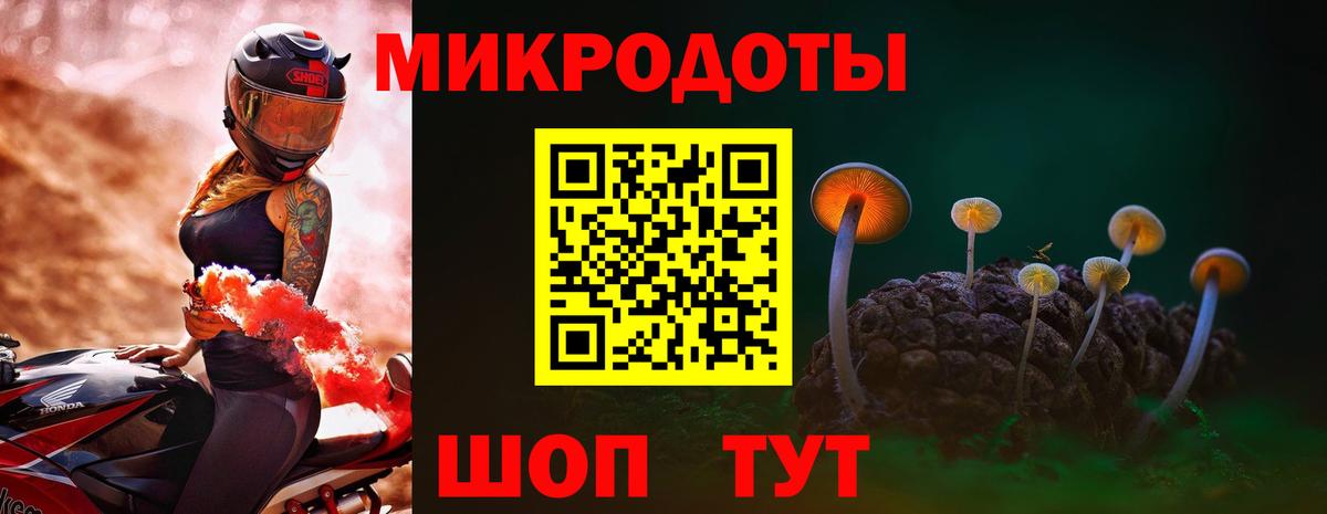 Галлюциногенные грибы Cubensis Кимовск